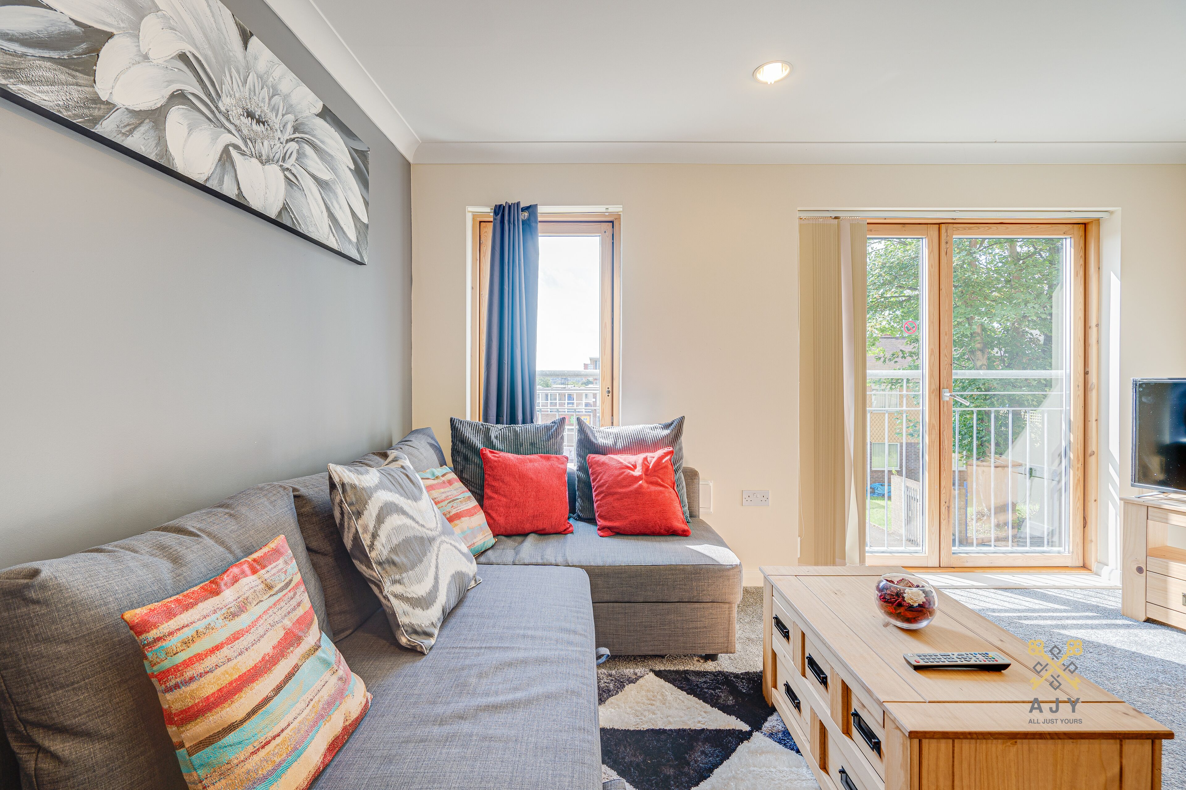 Televisión de pantalla plana