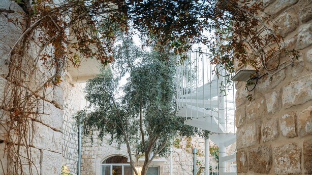 A stone courtyard with a tree, potted plants, and outdoor seating.
