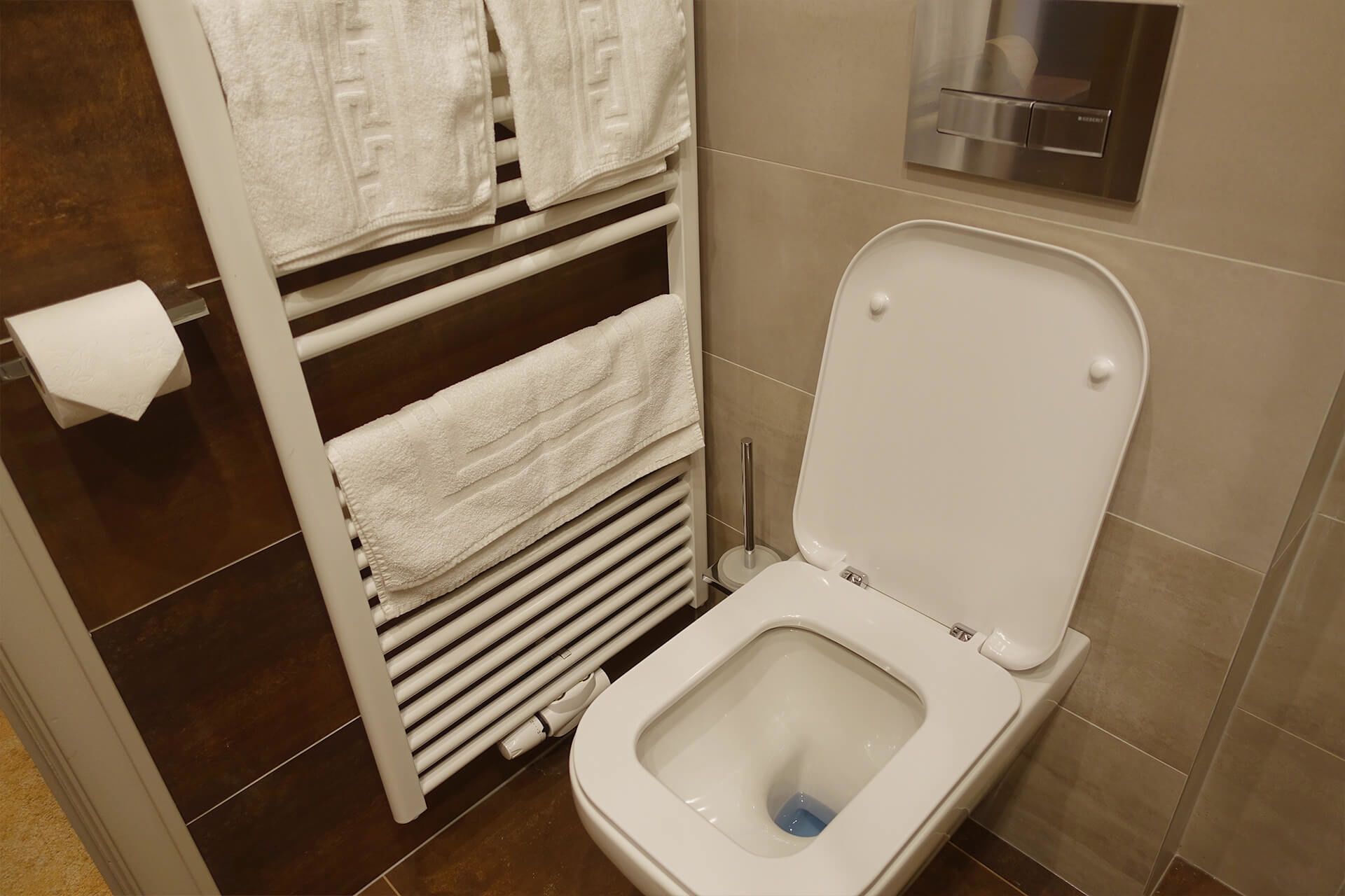 free toiletries, hair dryer, towels