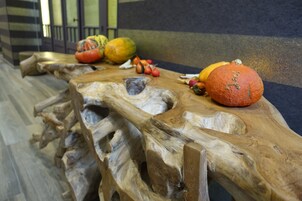 Una mesa de madera con un diseño natural y único, con una variedad de frutas y verduras.
