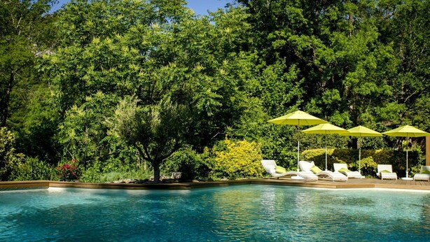 Una piscina con agua cristalina azul, rodeada de frondosos árboles verdes y una terraza de madera.