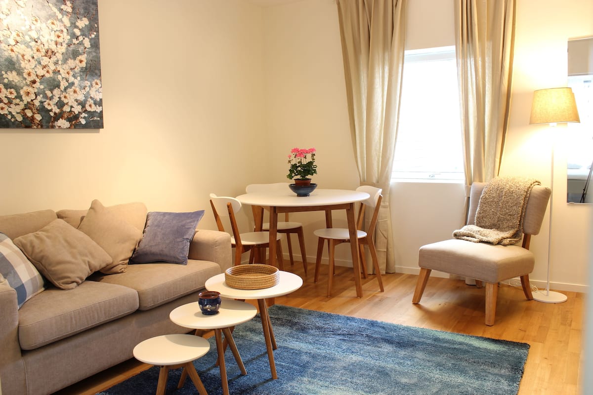 A living room with a sofa, a dining table with chairs, a coffee table, a blue rug, a potted plant, and a lamp.