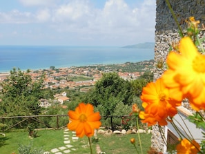 Un pueblo costero con un edificio de piedra, un camino de piedra y flores naranjas en primer plano.