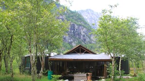 Un chalet rustique aux murs en bois, entouré d’arbres et adossé à une montagne.