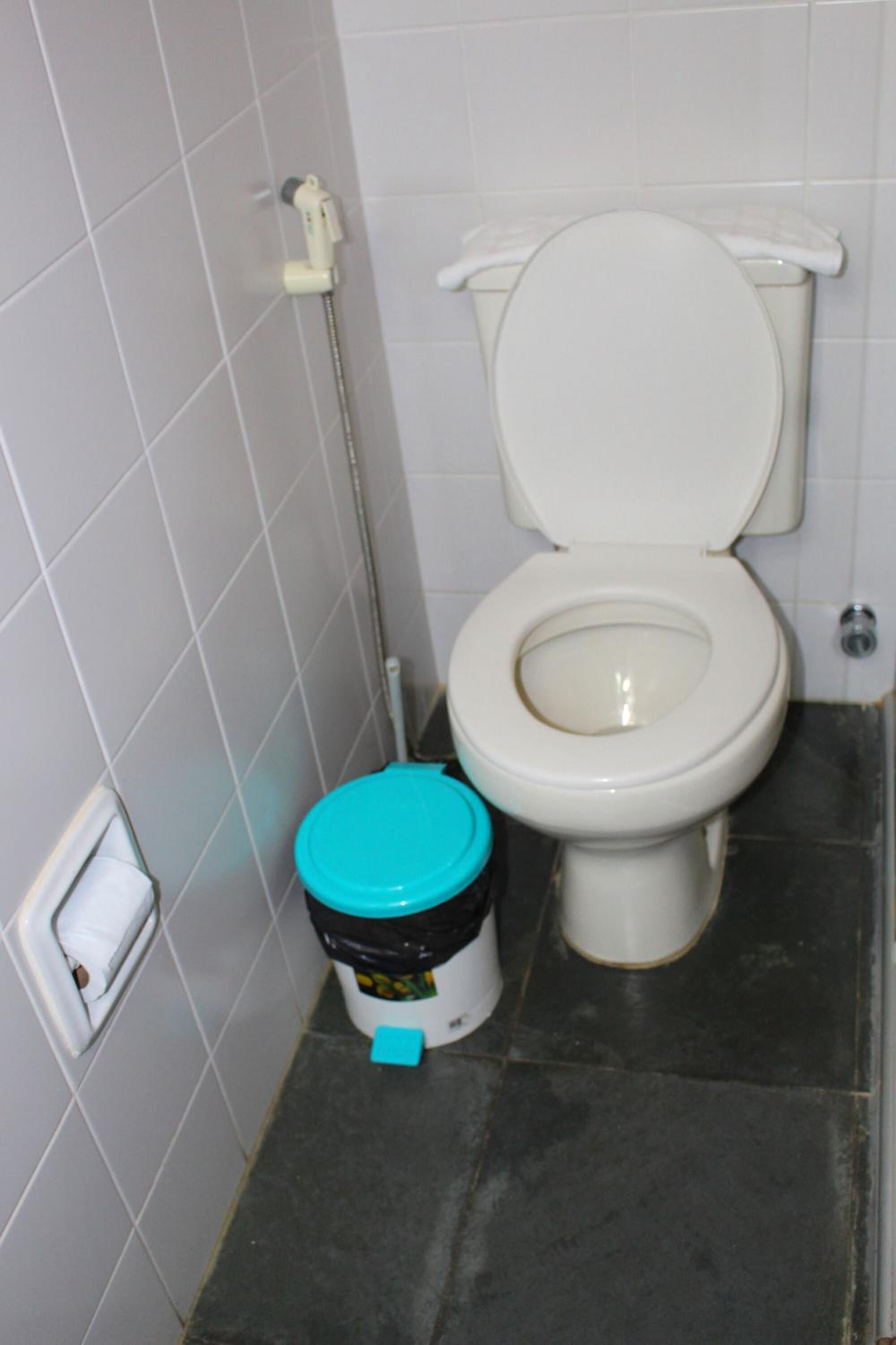 Des toilettes avec un abattant et une cuvette blancs, un couvercle bleu sur la cuvette et un porte-rouleau de papier toilette fixé au mur.