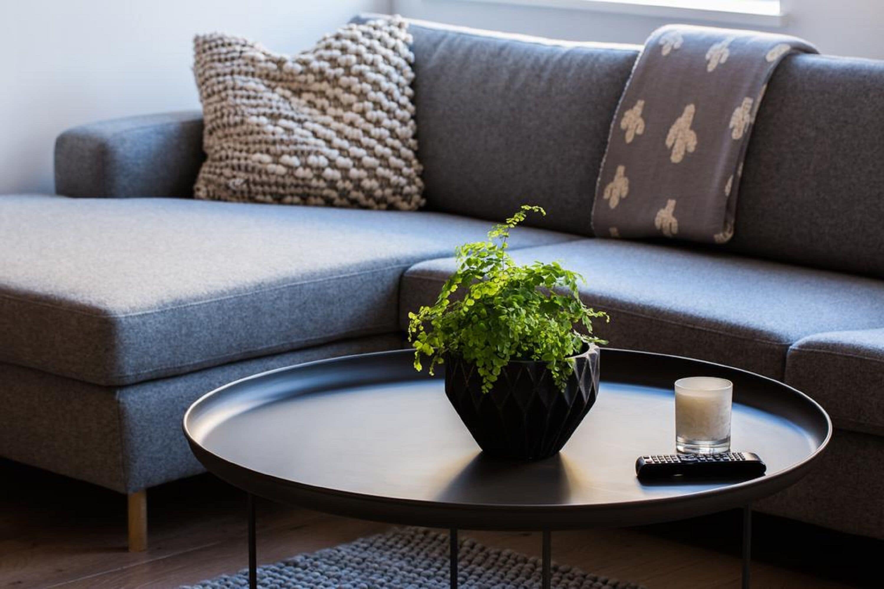 En moderne stue med en grå sofa, et rundt sofabord, en potteplante, en fjernbetjening og et lys.