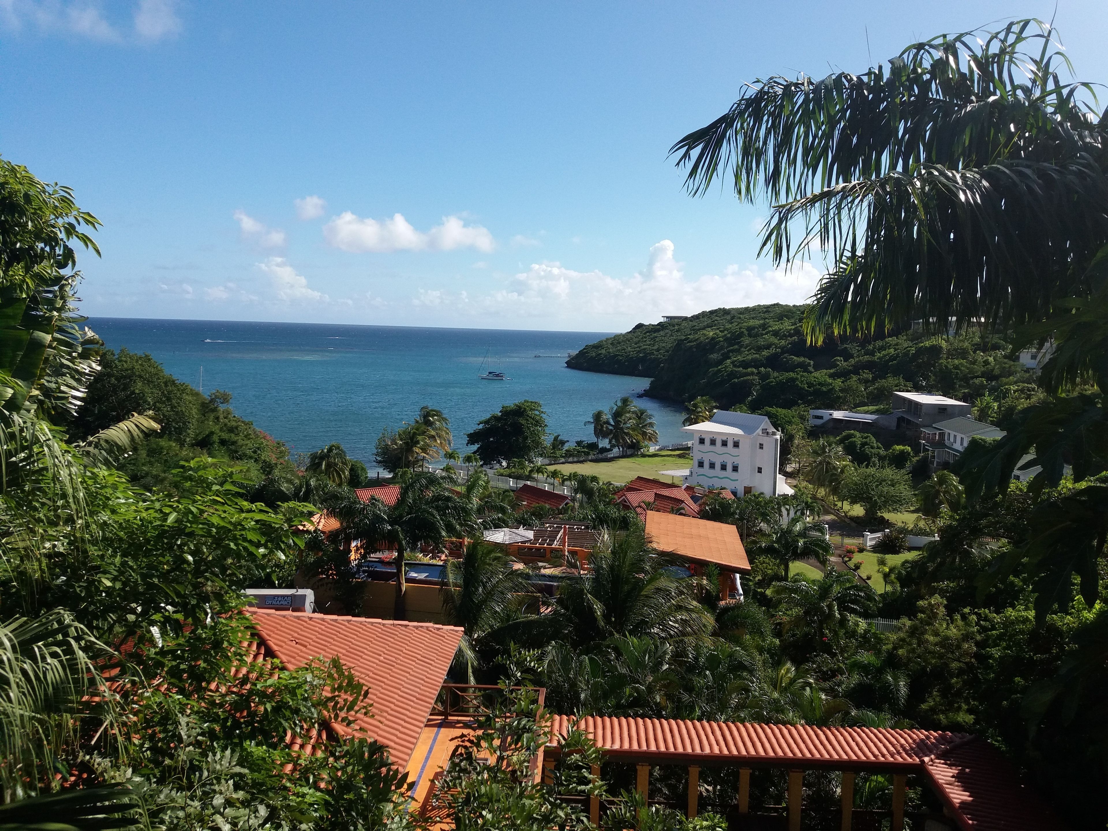 Une vue sur la côte, avec un bâtiment blanc, une végétation luxuriante et un ciel bleu dégagé.