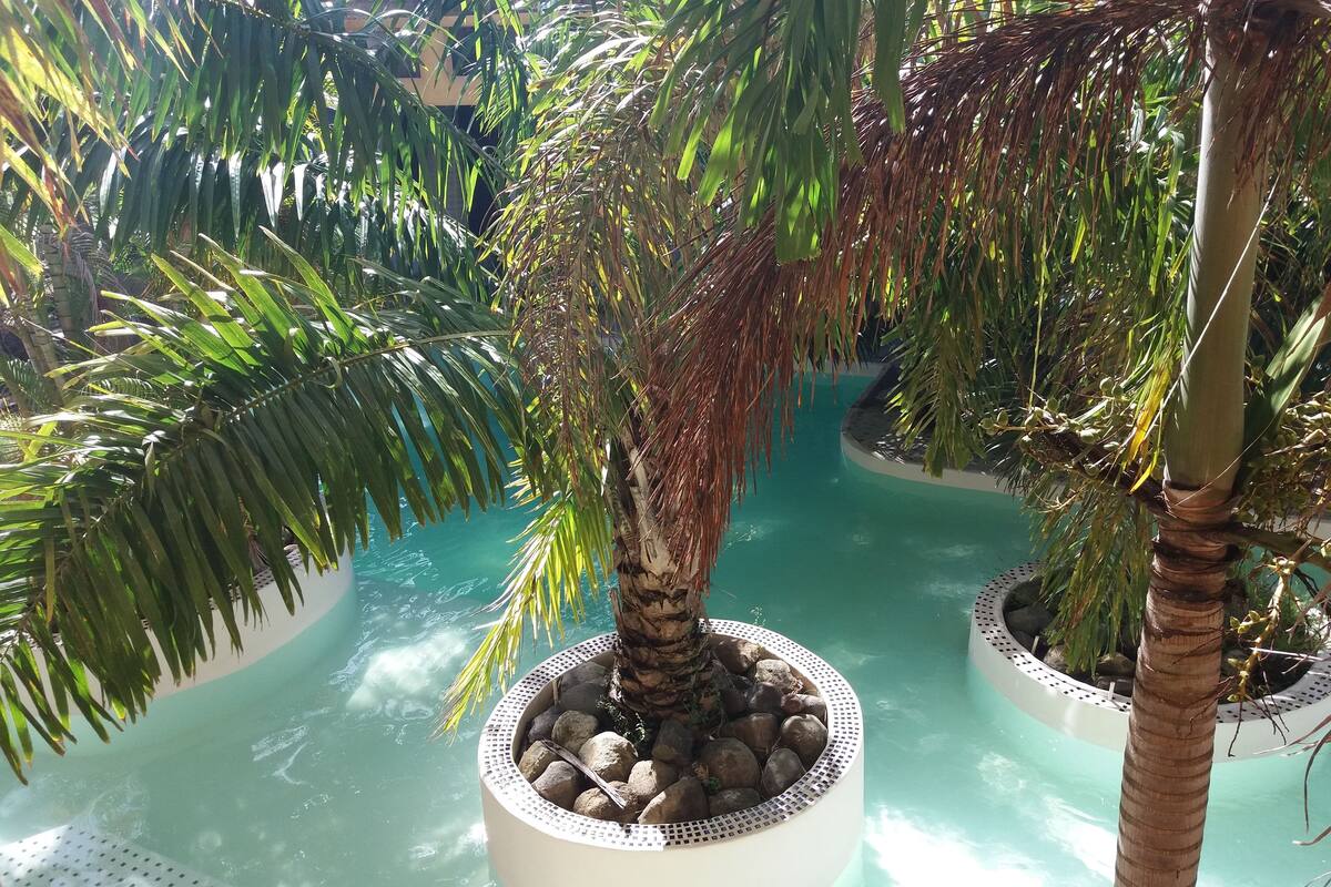 Ein Poolbereich mit Palmen und einer runden Wasserspielsituation, umgeben von Felsen.
