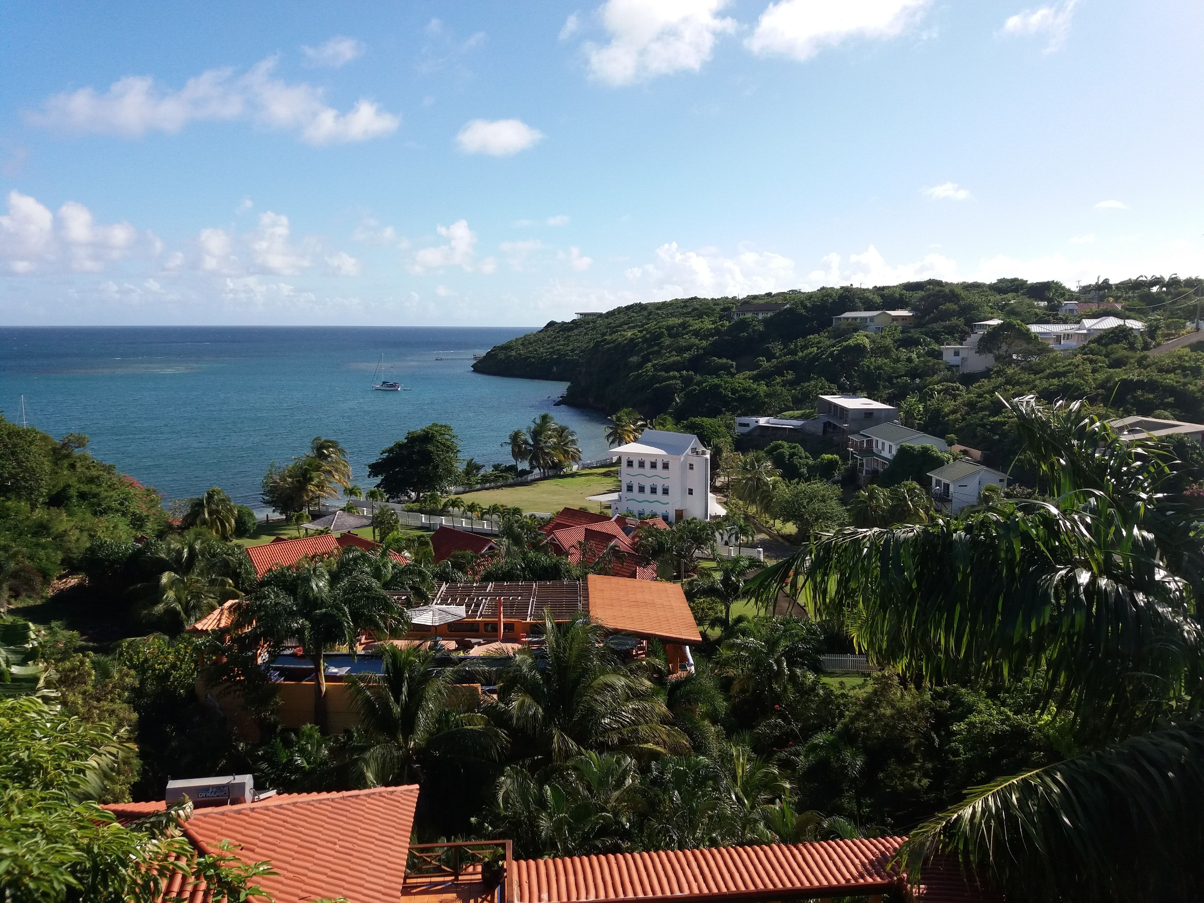 A coastal residential area with houses, a boat on the water, and lush greenery.