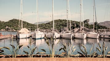 Dock