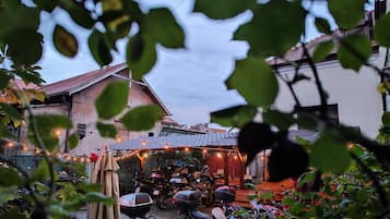 Vista al jardín