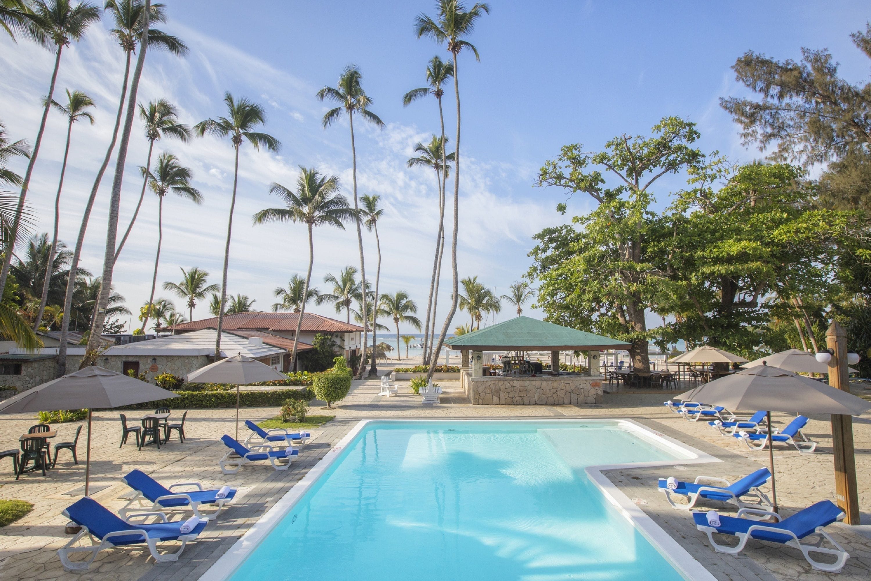 A pool area with lounge chairs and umbrellas, surrounded by palm trees.