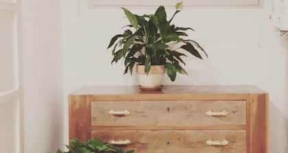 Gardenia Guest House