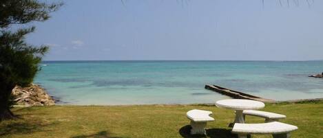A grassy area with a picnic table and benches overlooking a clear blue sea.