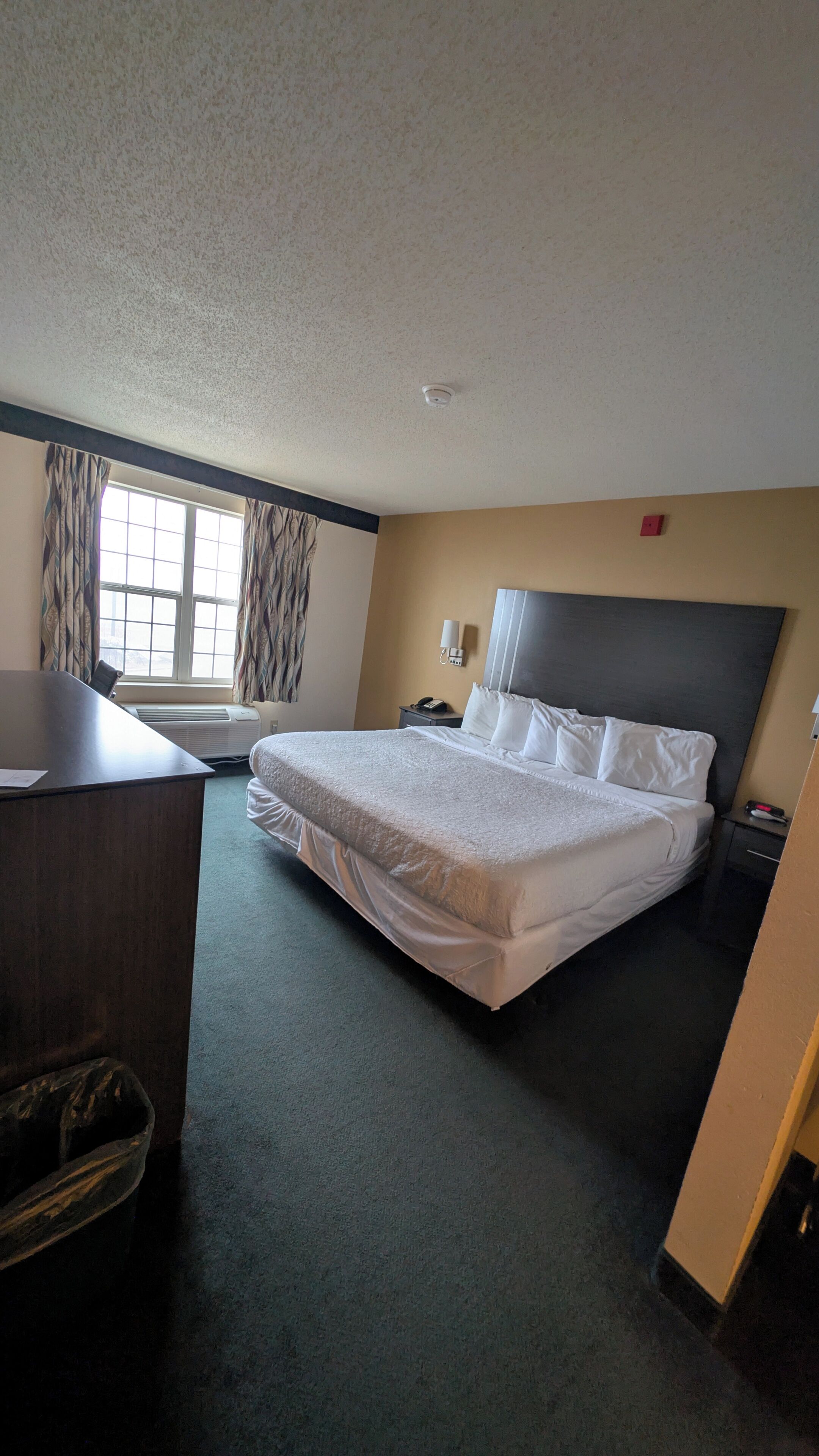 Standard Room, 1 King Bed | Desk, iron/ironing board, bed sheets