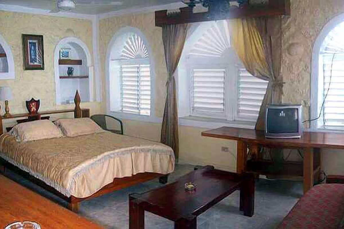Une chambre avec deux lits, un canapé, un téléviseur posé sur une table en bois et de grandes fenêtres équipées de volets.