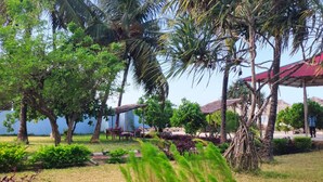 Ngoại thất
