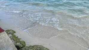 A beach with clear water and seaweed on the sand. - Casa Caribe Cancun (Cancun)