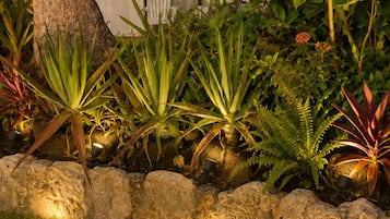 Een aangelegde tuin met diverse planten, een stenen muur en een gebouw met een balkon op de achtergrond.