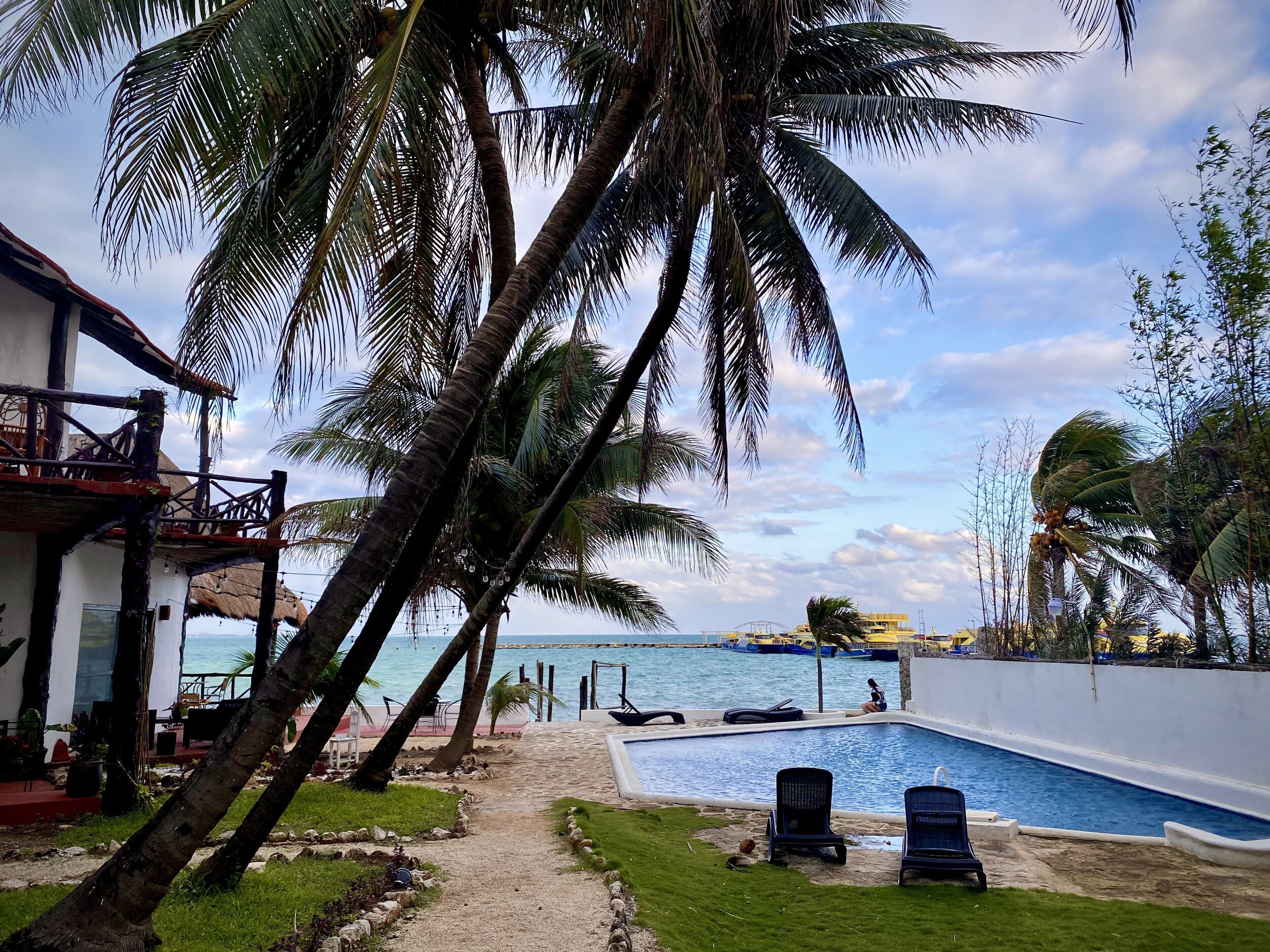 A pool area with a view of the sea, surrounded by palm trees and a white building.