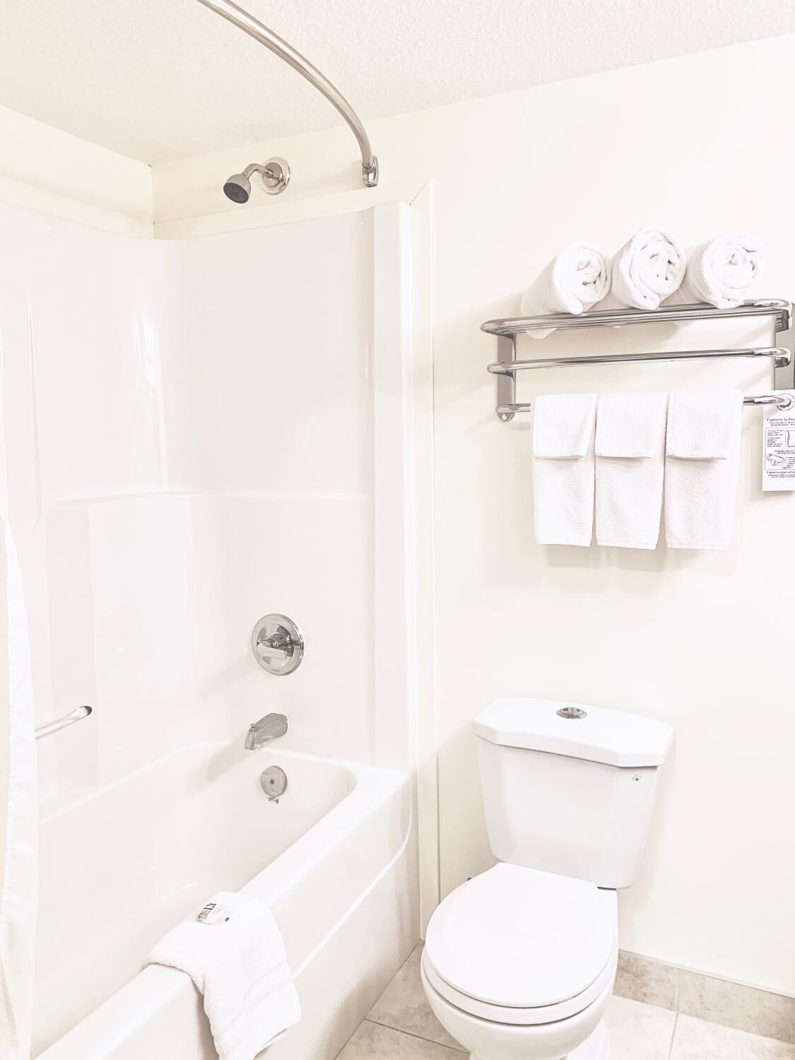 combined shower/bathtub, free toiletries, hair dryer, towels