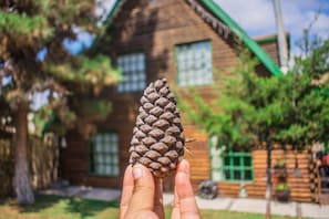 Televisión de pantalla plana, chimenea