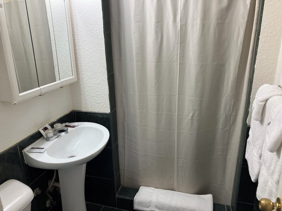 Standard Room, 1 King Bed | Bathroom