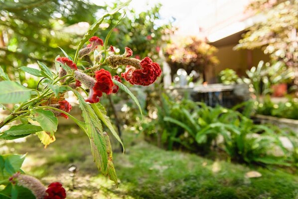 A garden with red flowers and green foliage.