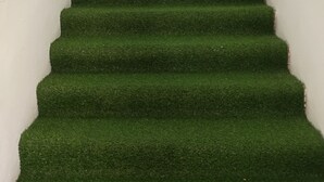 Una escalera con alfombra verde y barandillas de metal que conduce a una puerta con un logotipo.