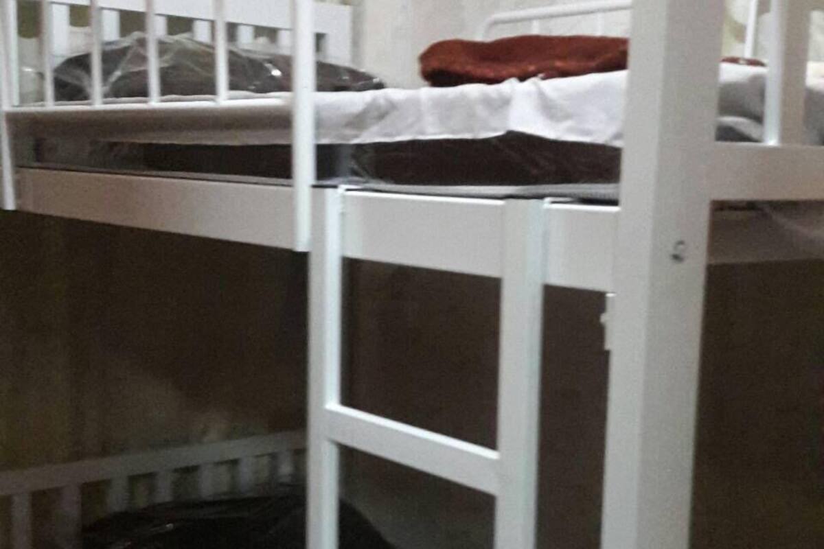 Una cama litera con escalera, una ventana con cortinas y un colchón estampado de leopardo.