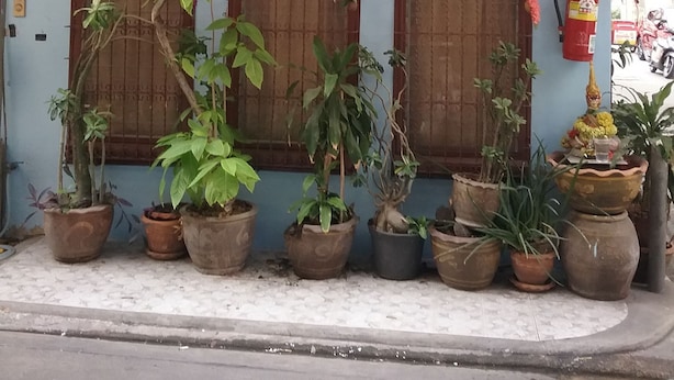 واجهة المنشأة