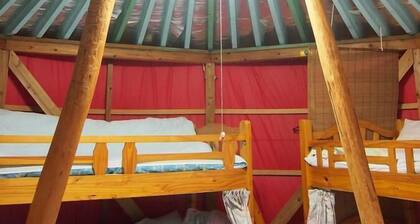 Daichan House - Campsite