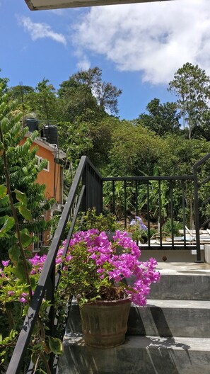 Vistas desde el alojamiento