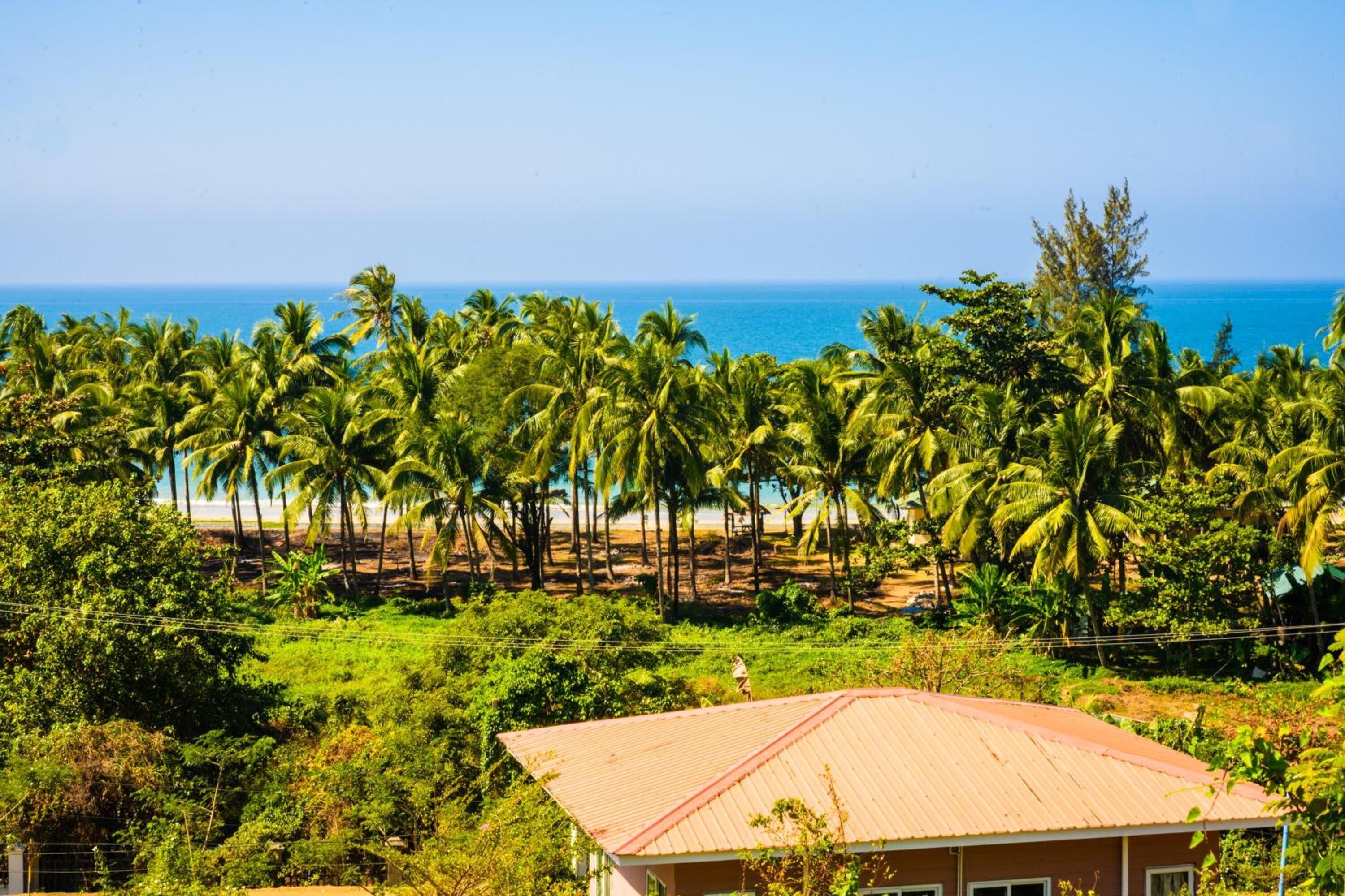 A coastal view with palm trees and a beach in the background.