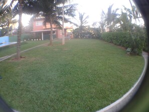 Jardí