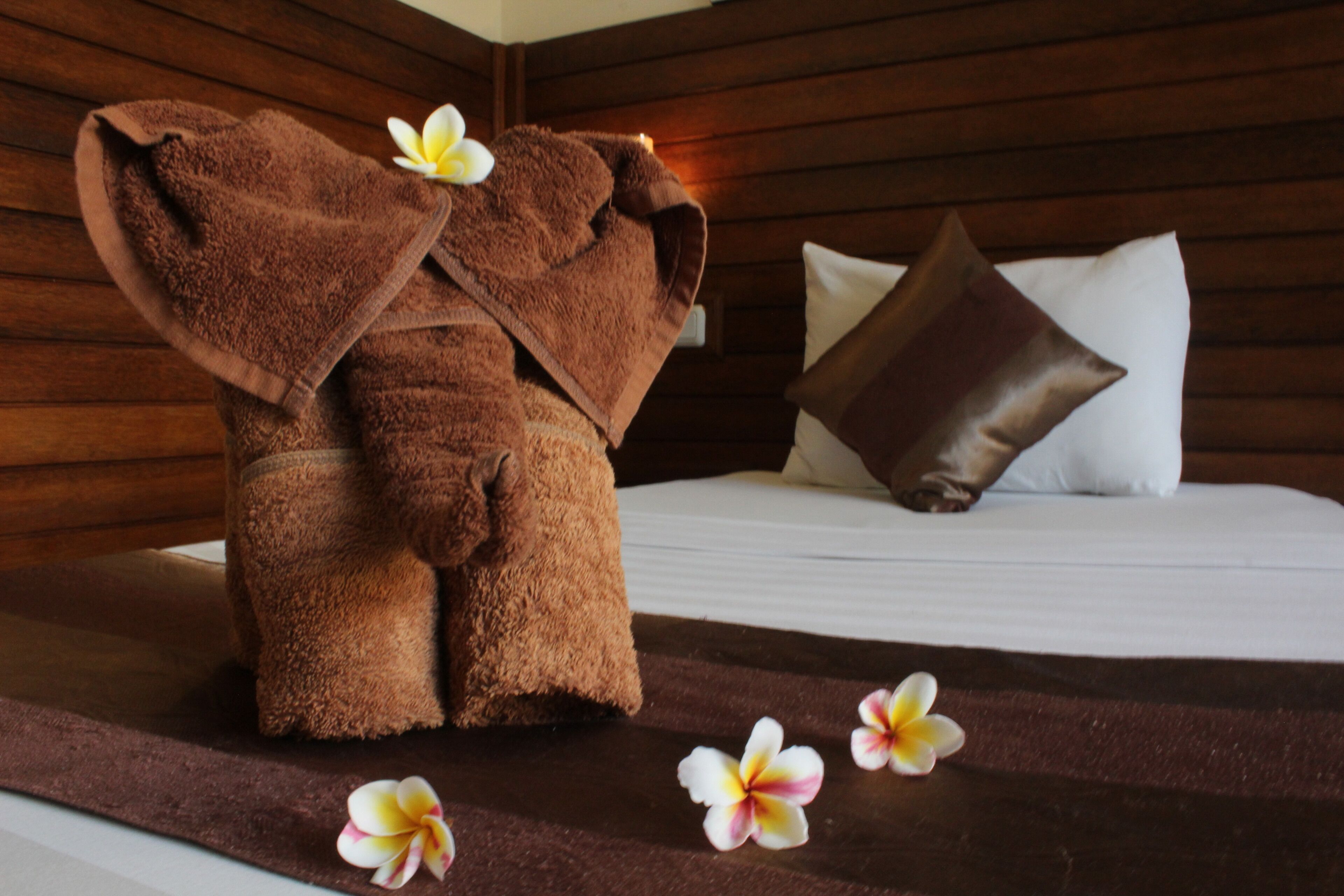 deluxe twin room | garden view