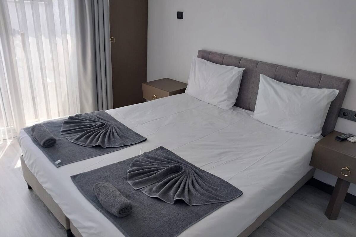 Standard Double Room Single Use, Non Smoking | Minibar, iron/ironing board (on request), WiFi (free), bed sheets