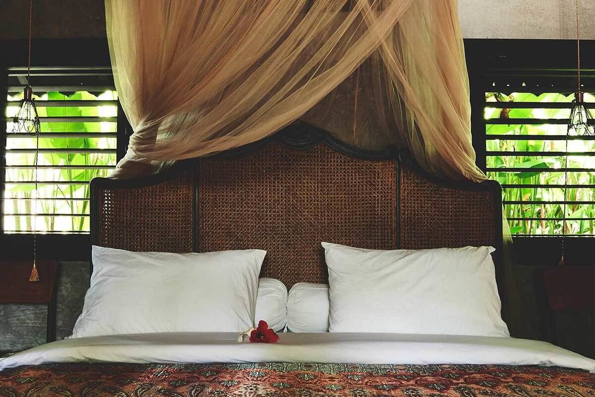A bed with white linens and a canopy, a woven headboard, and a view of green foliage through window blinds.