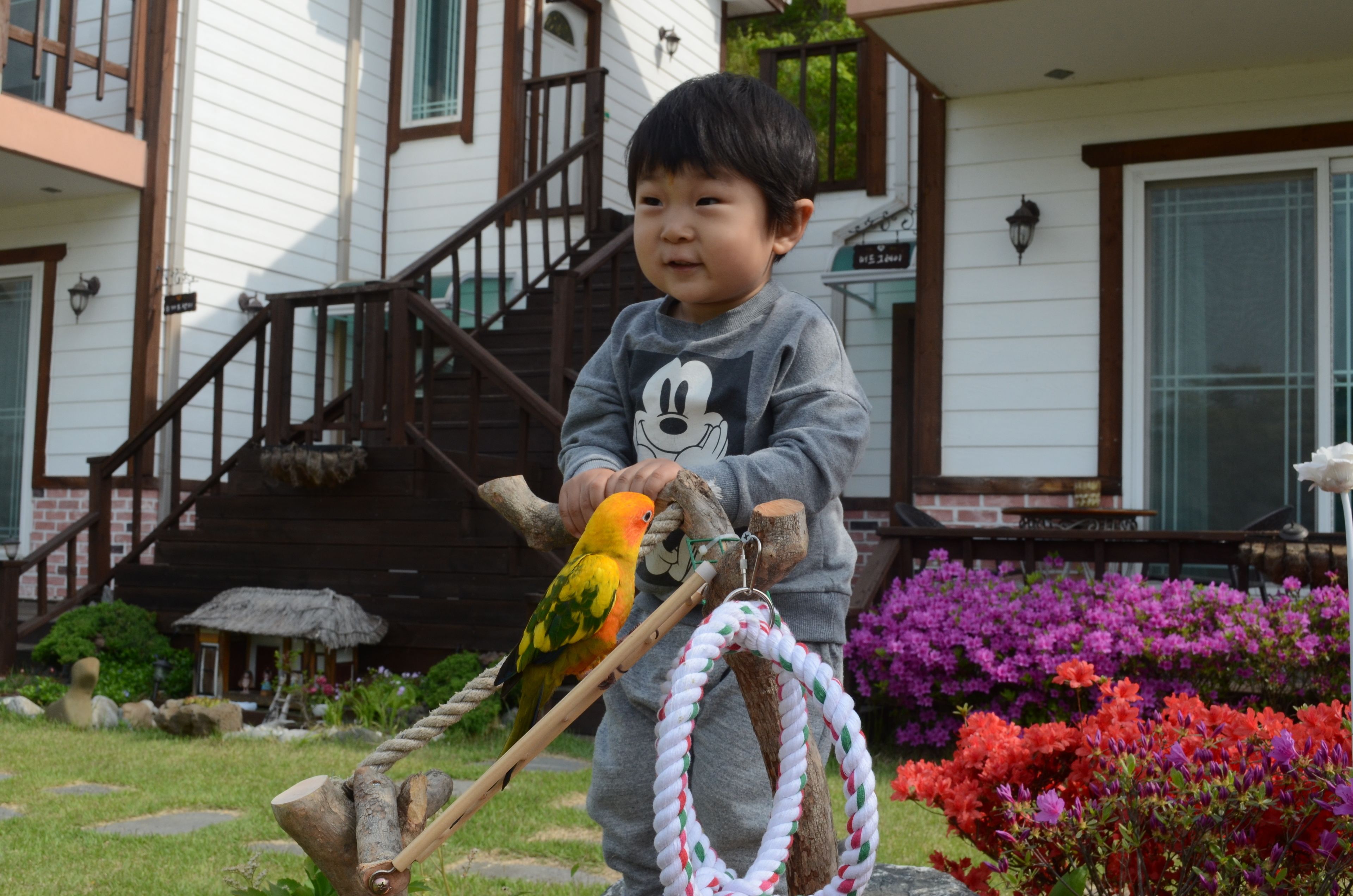 A child playing with a parrot in a garden with a house in the background.