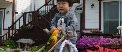 A child playing with a parrot in a garden with a house in the background.