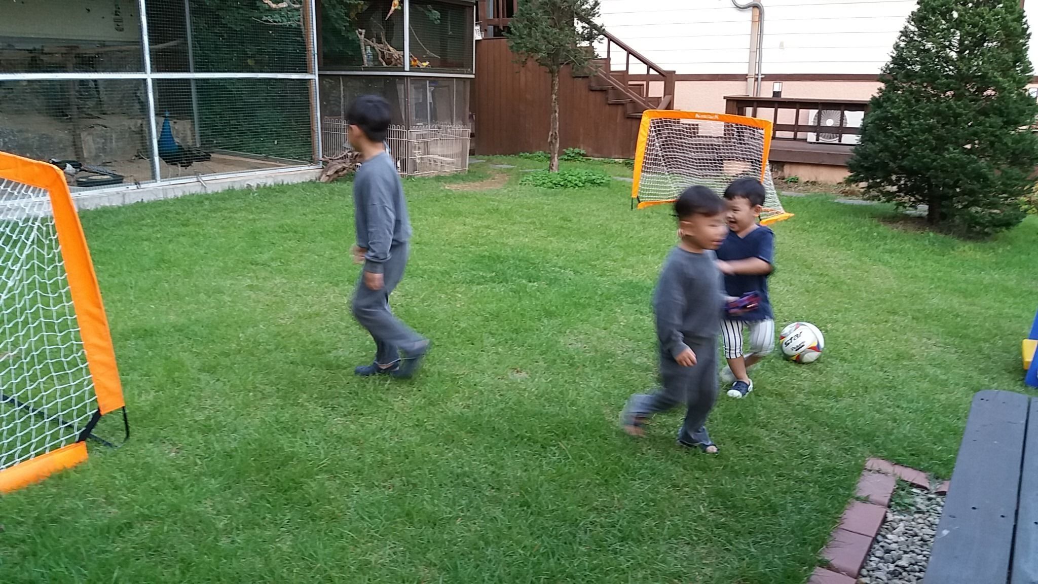 A grassy outdoor area with a soccer goal, a tree, and a fence.