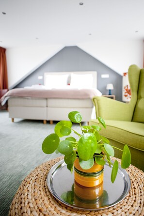 Room amenity - B&B Ootmarsum (Ootmarsum)