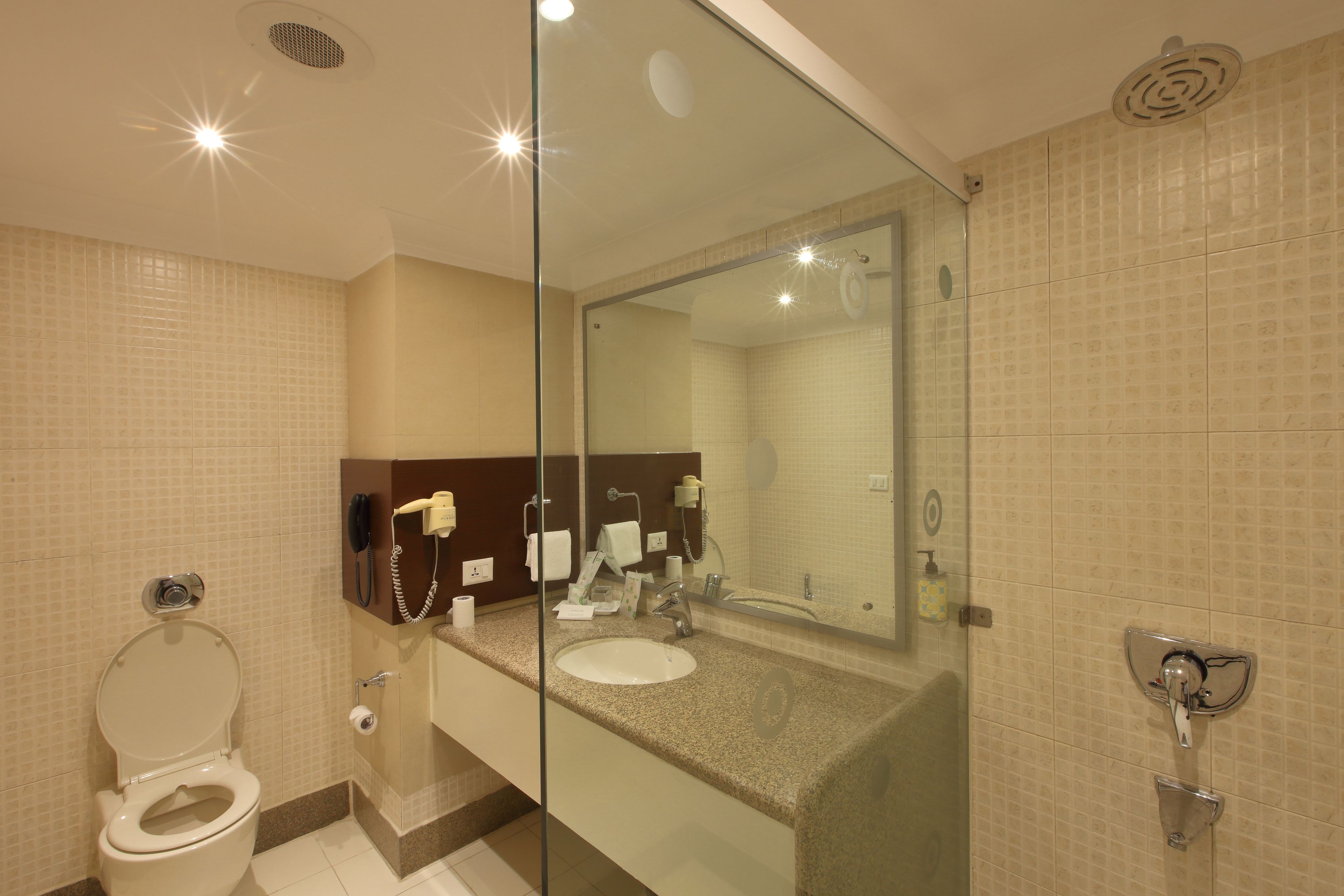 A modern bathroom with a glass-enclosed shower, a toilet, and a sink with a mirror above it.