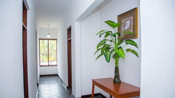 Vestibule