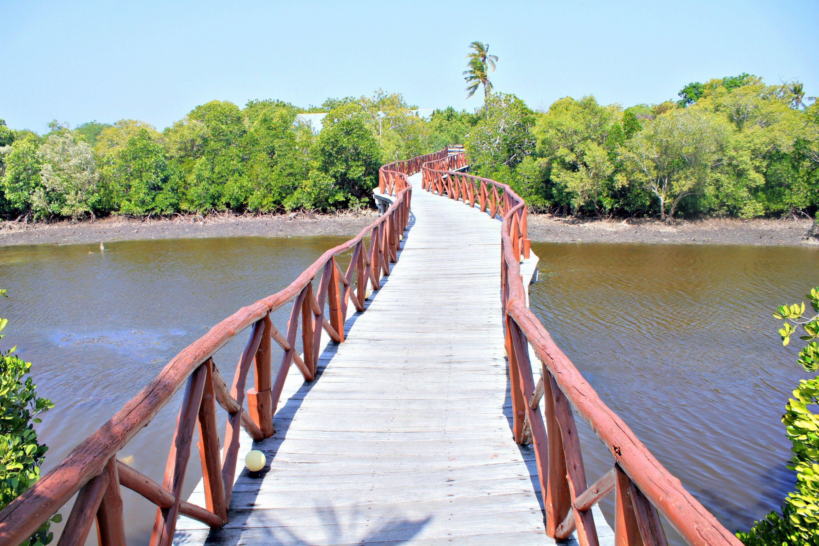A wooden bridge over a calm river surrounded by dense greenery.