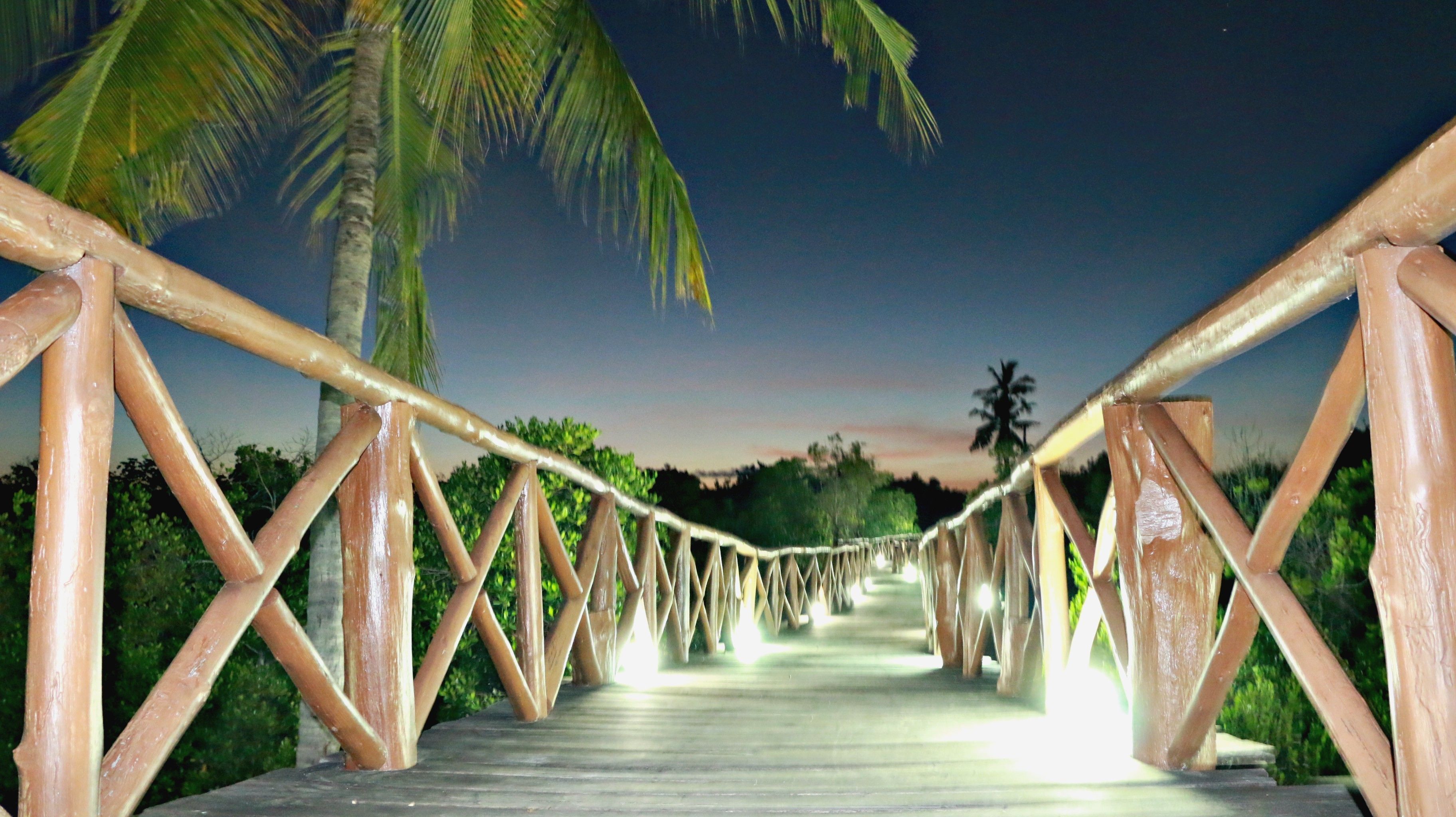 A wooden bridge with railings, surrounded by greenery and palm trees.