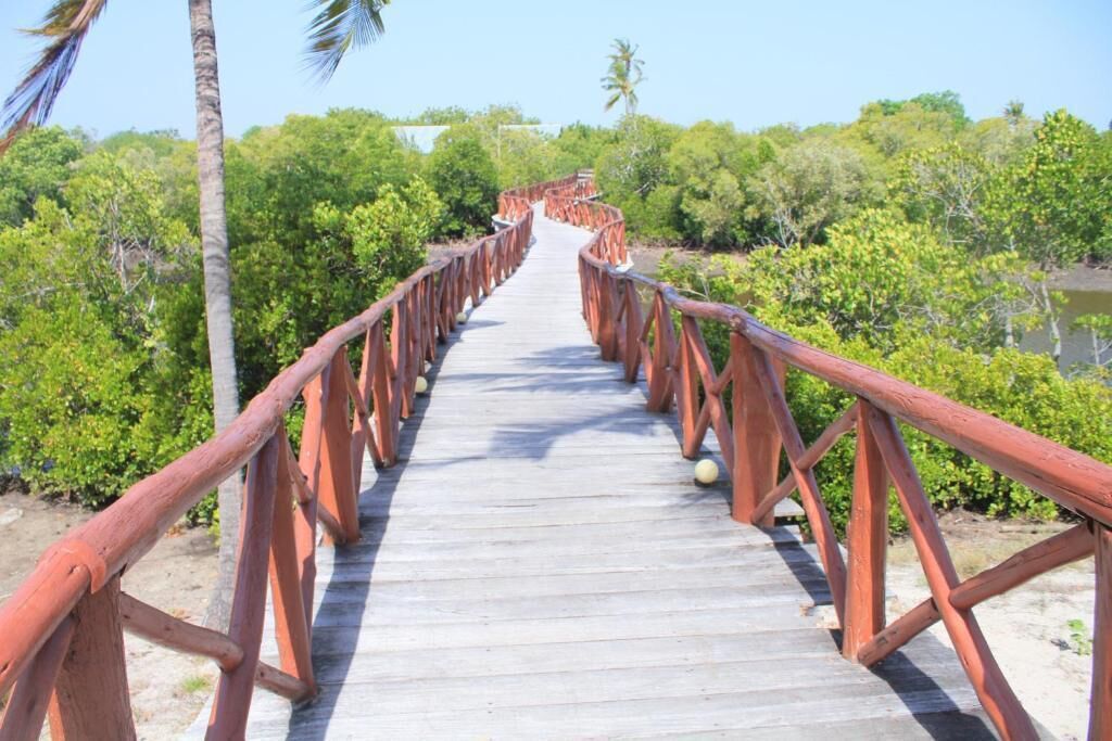A wooden boardwalk with red railings leading through a dense, green forest.