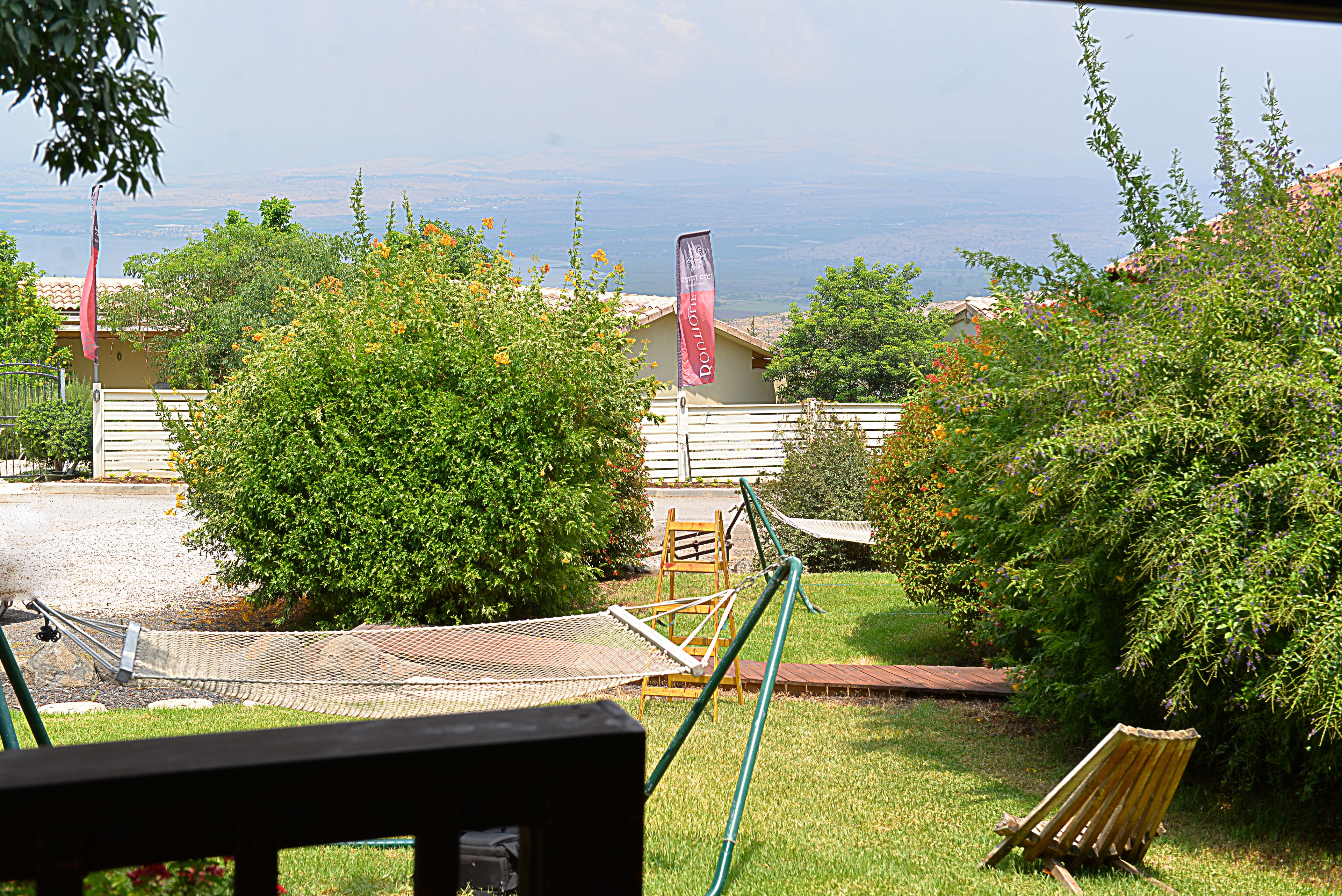 Garden view