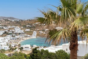 A coastal town with white buildings, a beach, and a palm tree in the foreground. - Kallos of Mykonos (Mykonos)