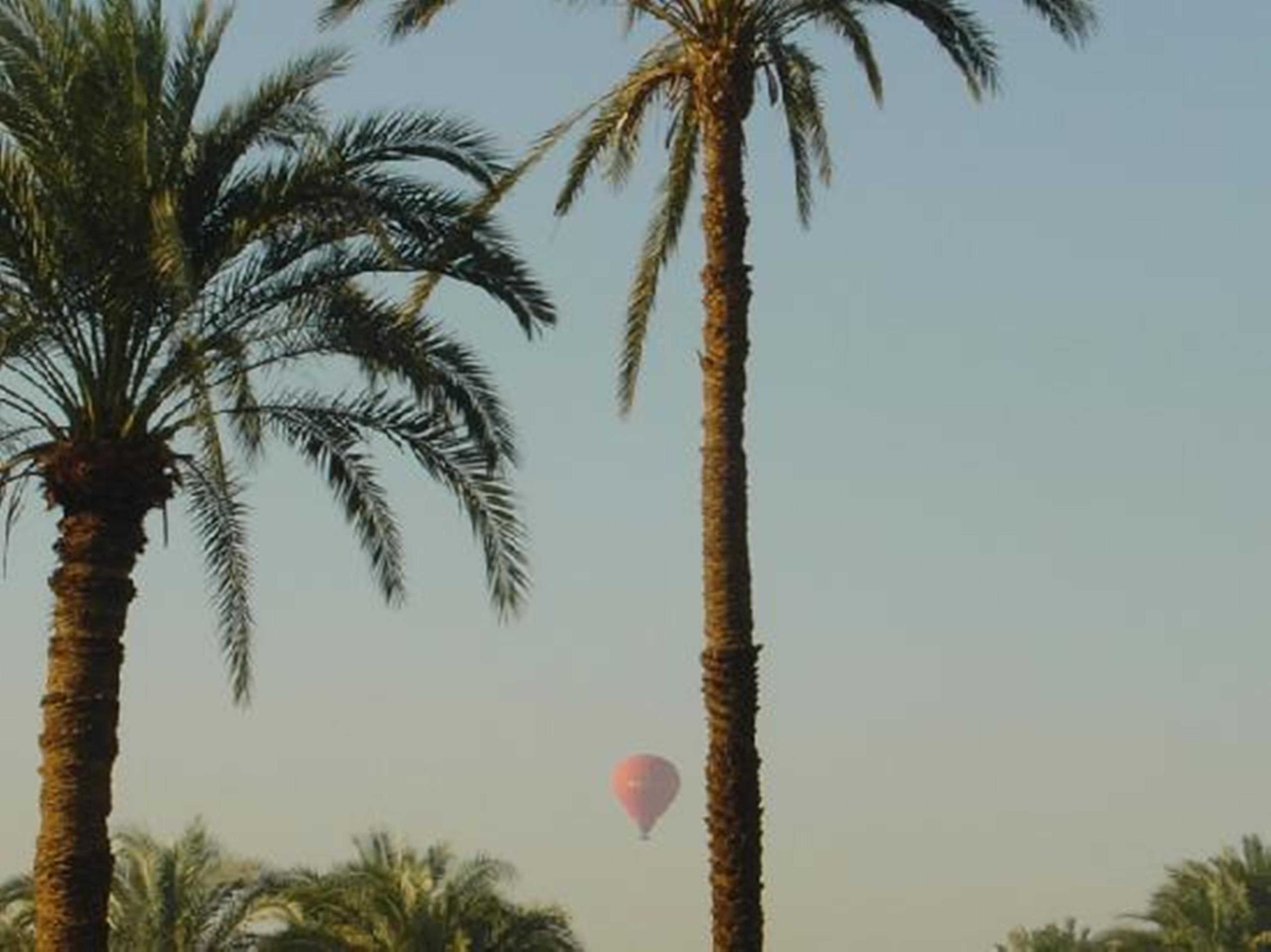 Foto - El Nakhil Hotel